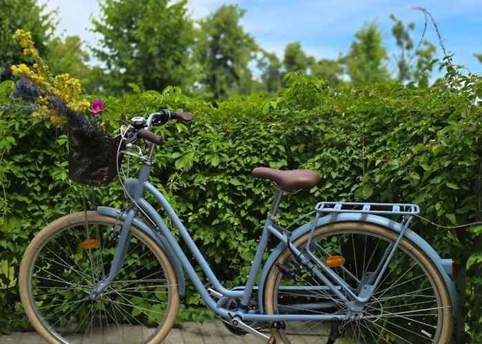 Daire Morze Rowery I Parking Gratis Gym & Sauna