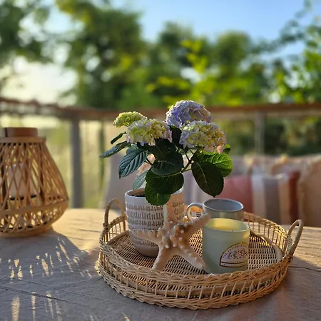 Morze Rowery I Parking Gratis Gym & Sauna グダニスク